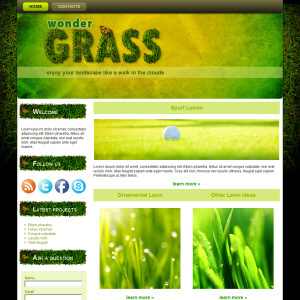 Wonder Grass